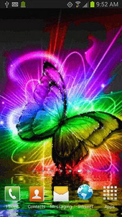 Colored Butterfly