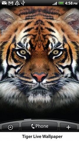 Tiger Alive