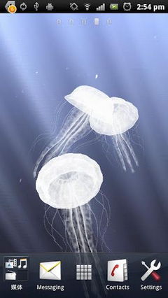 3D Jellyfish HD