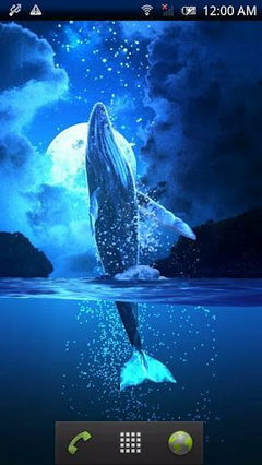 Whale Moon