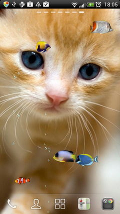 Kitty & Fish
