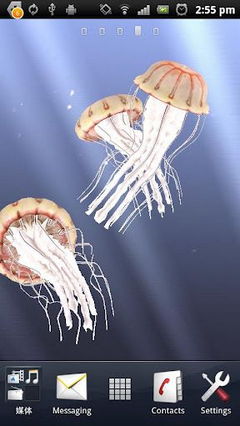 3D Jellyfish HD