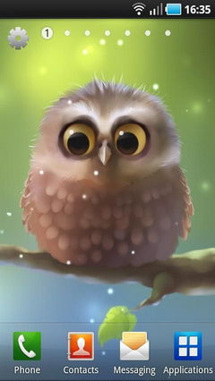Little Owl Lite