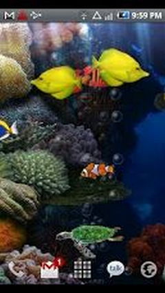 Aquarium new