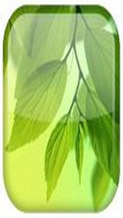 Galaxy S4 Leaf Wasabi
