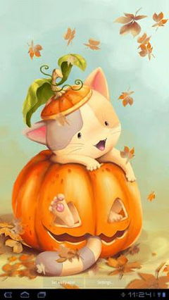 Pumpkin Kitten