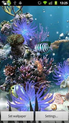 Coral Reef Lite Aqua Live