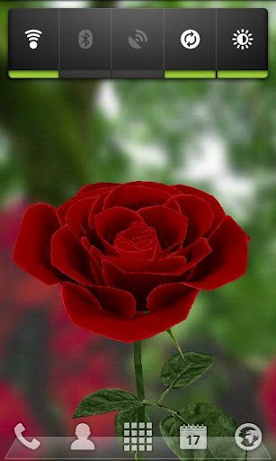 3d Wallpaper Rose For Android Image Num 46