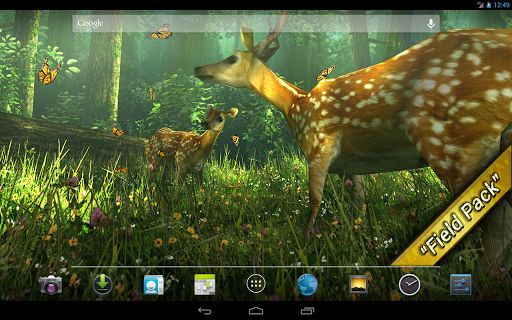 Forest HD