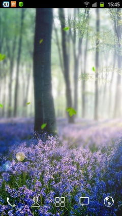 Forest Lavender