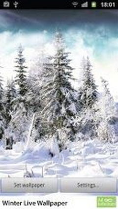 Winter Live New 2013