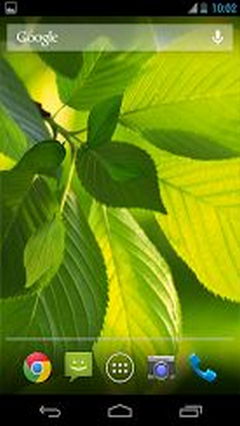 orginal leaf