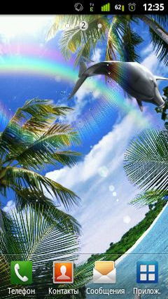 Dolphin Rainbow