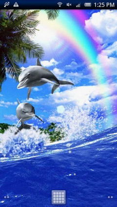Dolphin Rainbow Android Live Wallpaper