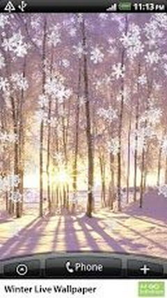 Winter Live New 2013