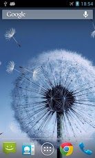 Download the Galaxy S3S4 Dandelion featuring flying seeds