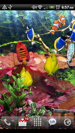 A Anipet aquarium