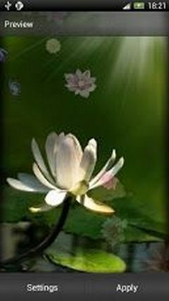 Lotus Android Live Wallpaper