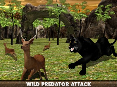 Real Black Panther