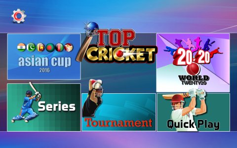 Top Cricket MultiPlayer
