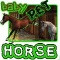 Baby Horse Pet