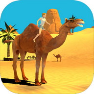 Camel Simulator