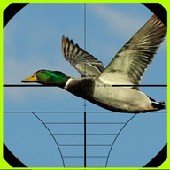 Duck Hunter Game