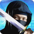 Elite Ninja Assassin 3D