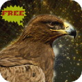 Golden Eagle Bird Simulator