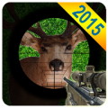 Jungle Hunting 2015