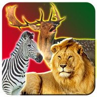 Safari Animal Hunting