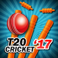 T20 Cricket 2017