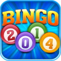 Bingo 2014