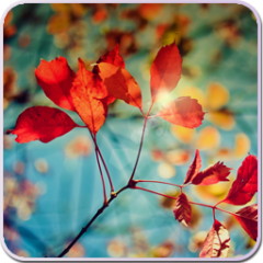Galaxy S4 Leaf Live Wallpaper Android Game APK () by Galaxy  Live Wallpaper - Download to your mobile from PHONEKY