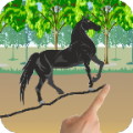 Wild Horse Scribble Race