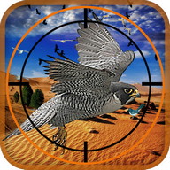 Flying Birds Hunter Desert Adventure