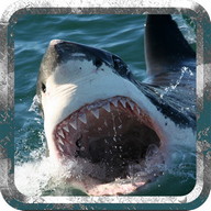 enojado tiburón - ataque salva