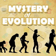 Mystery of Evolution