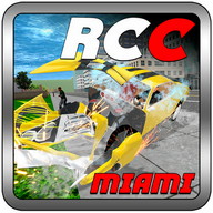 Real Car Crash Miami