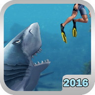 Shark Simulation 2016