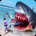 Wild Shark Beach Attack
