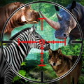 Animal Hunting-Africa