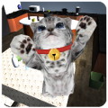 Cute cat simulator