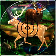 Deer Hunting Jungle War