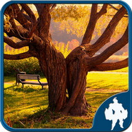 Forest Jigsaw Puzzles