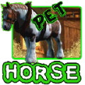 Horse Pet