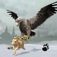 Snow Eagle 3D Sim