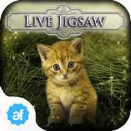 Hidden Jigsaws - Cat Tailz