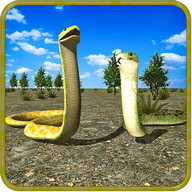 Clan of Anaconda Snakes
