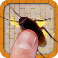 Cockroach Smasher Free Fun Game for Kids